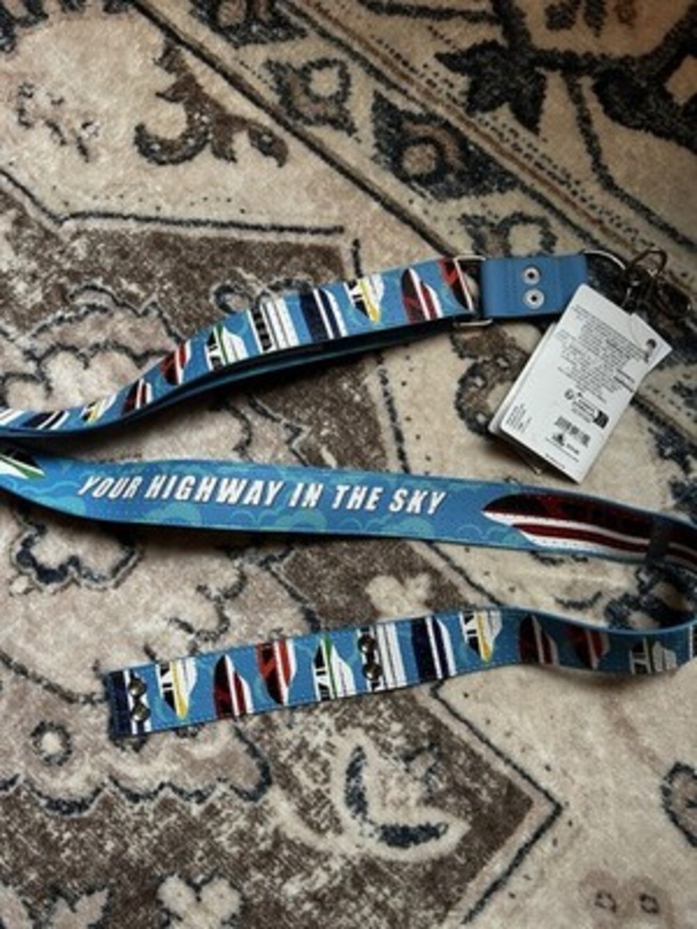 disney skyliner pin strap Blue